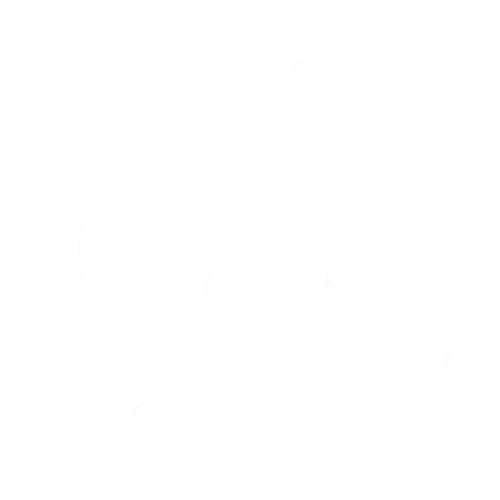 Bicycle Accident Lawyer - AK Law Firm